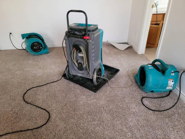 Best Sewage cleanup and water damage restoration  in Mount Hore, WI