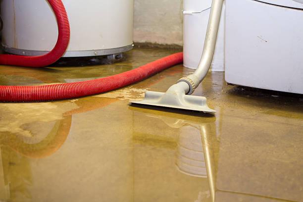 Best Professional water damage repair  in Mount Hore, WI
